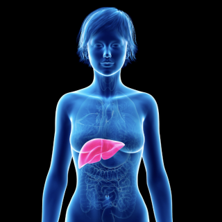 Do You Need to Love Your Liver?