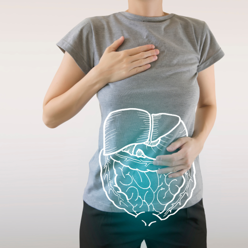 Gut Health: Why I Fell In Love With Digestive Enzymes