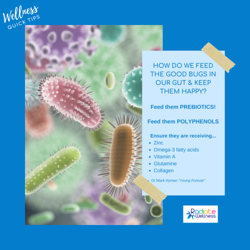 How Do I Feed the Good Bacteria in my Gut?